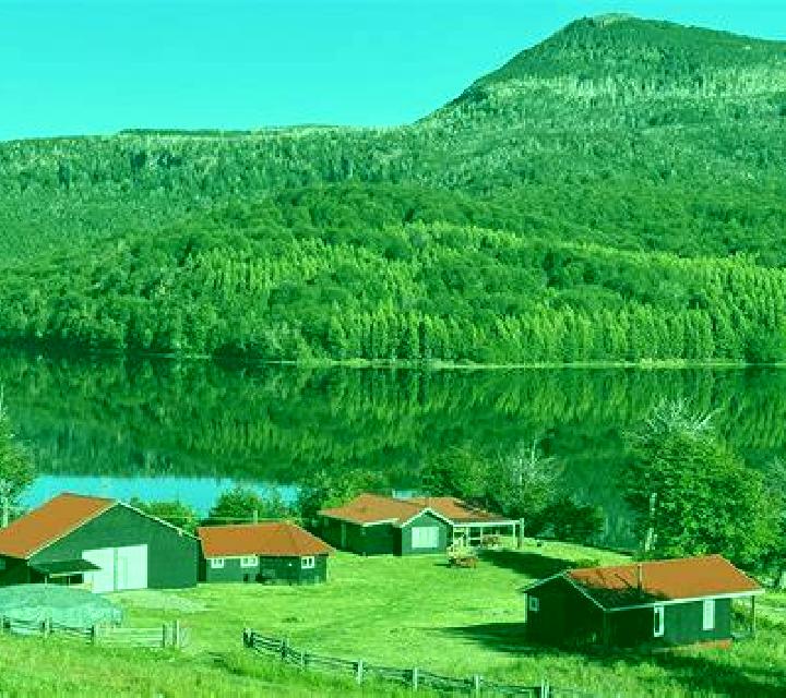 Sofía 3 Luyego escort