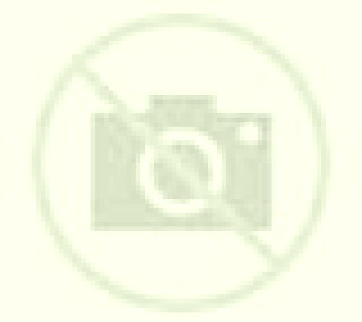 Valentina Tales escort