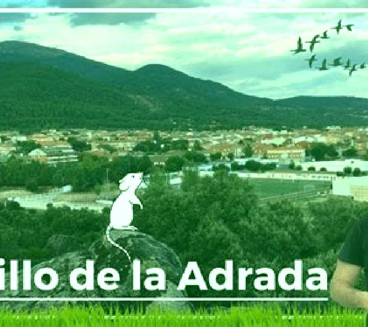 Valeria 2 Santa Gadea del Cid escort
