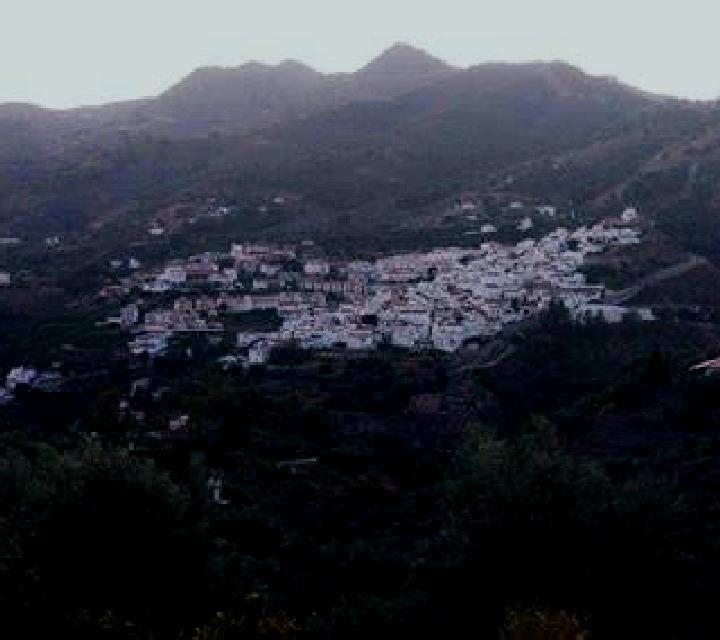 Vega 3 Morella escort
