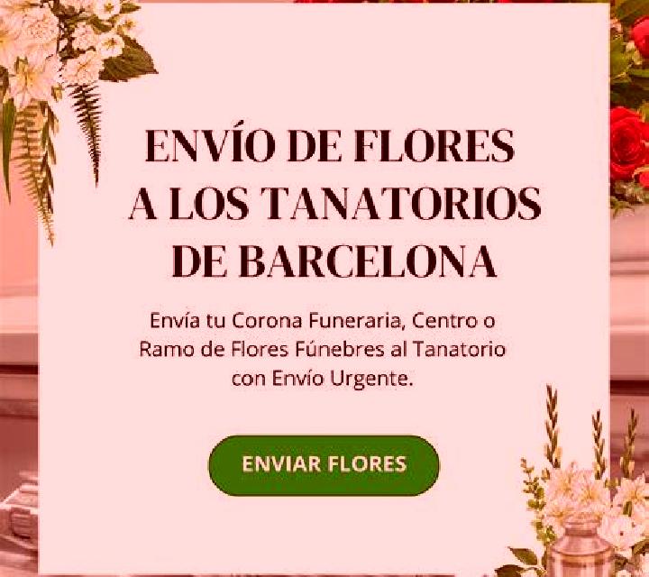 Vega 3 Sant Aniol de Finestres escort
