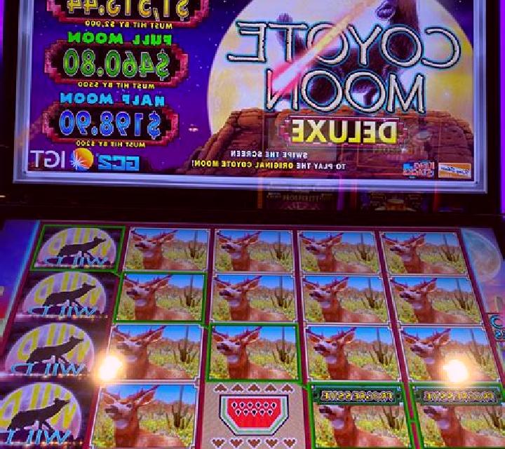 Vega Penalba escort