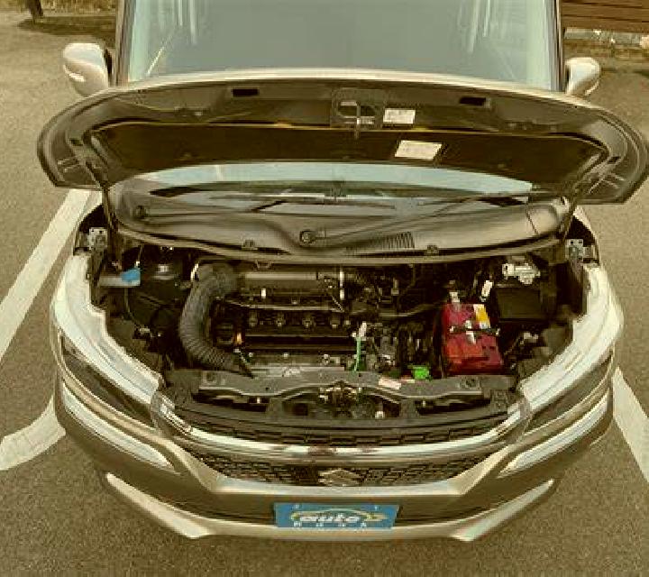 Vega Rotova escort