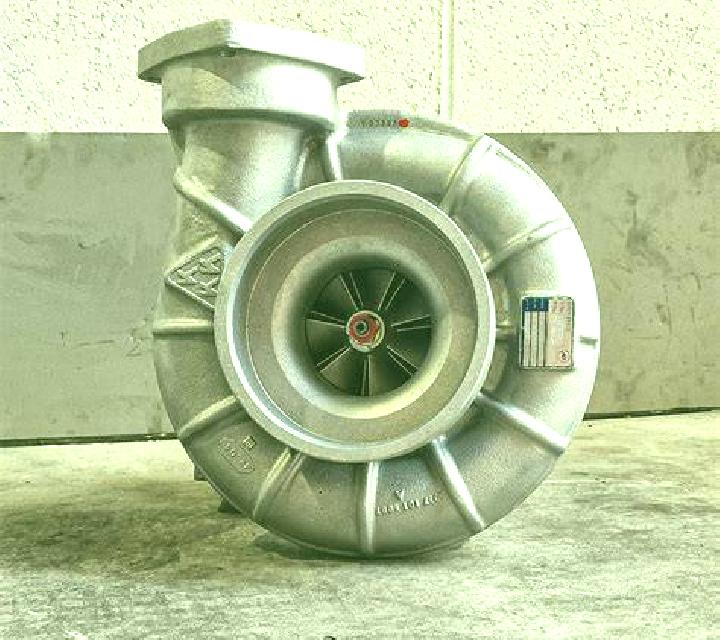 Vega Valdecaballeros escort