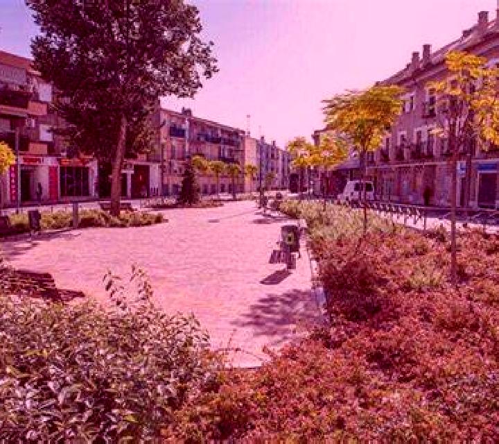 Verónica 2 Montellano escort