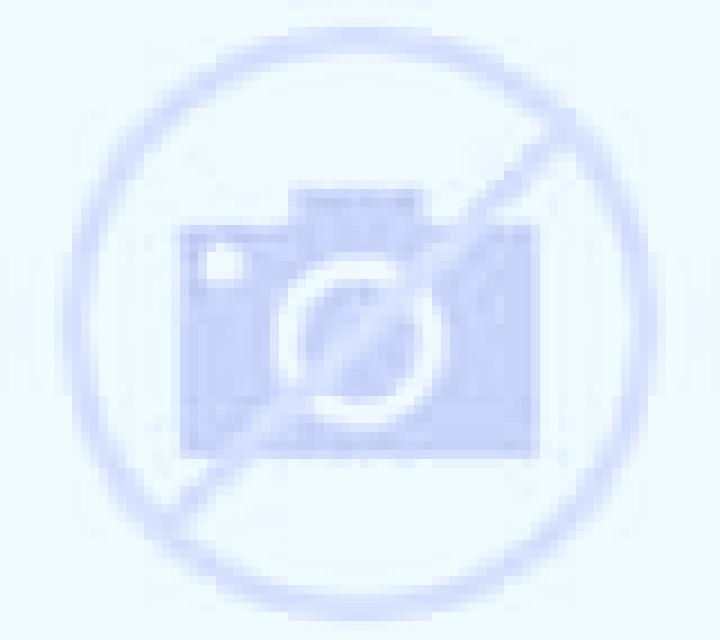 Ximena 2 Saus escort