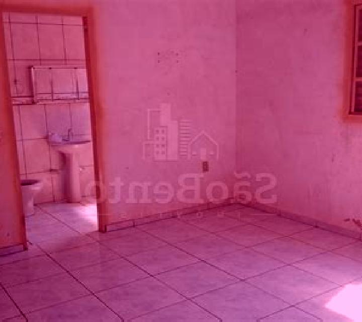 Ximena Escobar de Campos escort