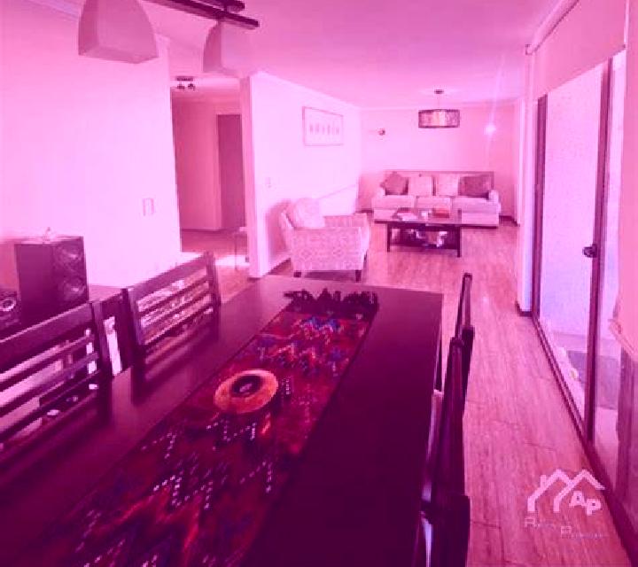 Ximena Lezo escort