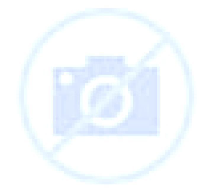 Yasmin 2 Vega de Santa Maria escort
