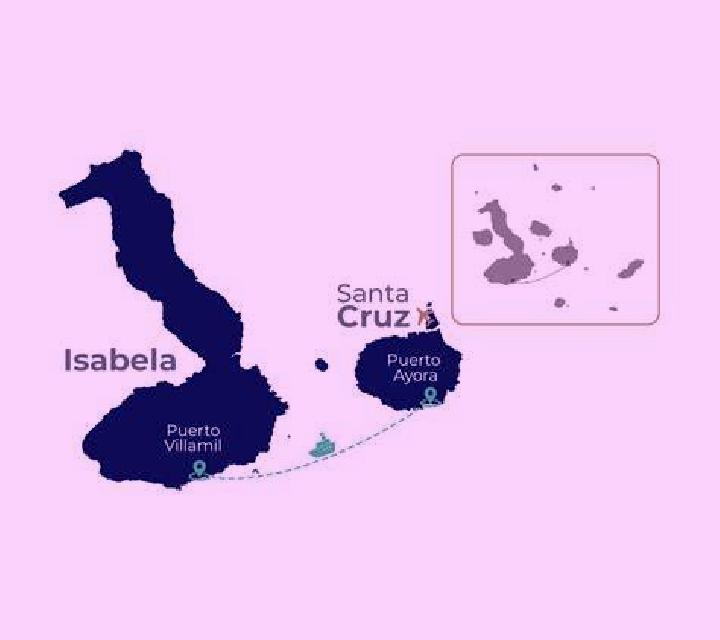 Zara 2 Cedillo del Condado escort