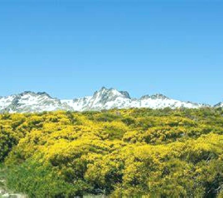 Zara 2 Riofrio de Aliste escort